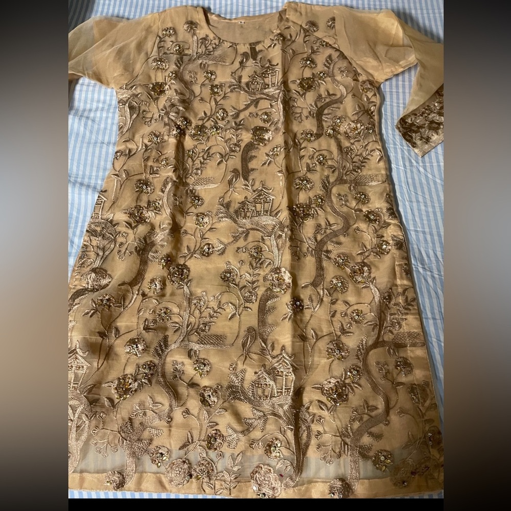 Pakistani dress